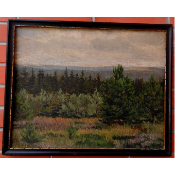 Gustav Macoun  krajina (1892-1934)Letná krajina