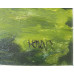 Holar-V lese