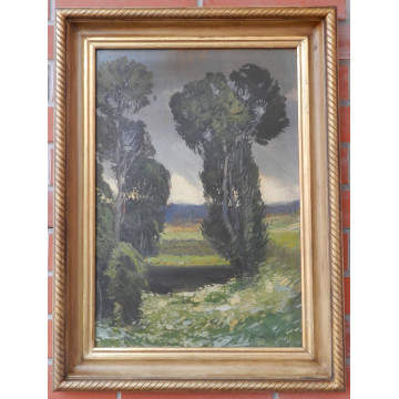 Oliva Viktor(1861-1928)-Stromy v krajine