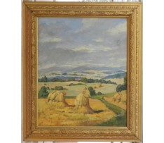 Daněk Sedlaček Fr.(1892-)-Snopy