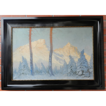 Hering G(1884-1936)-Pohľad na alpy