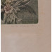 Dušan Skokňa(1951-)-Chvíle štastia