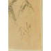Tichý Kálmán(1888-1968)-Portét ženy